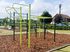 Set street workout scară orizontală - BGL-7615 imagine 2
